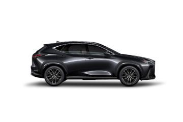 Graphite Black Glass Flake