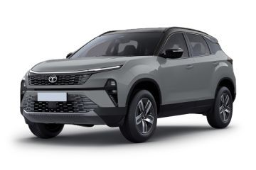 Pure Grey-dual Tone