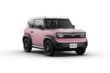 Rose Pink