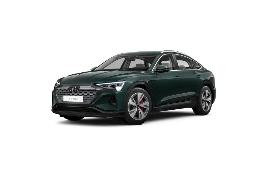 Audi Q8 Sportback e-tron Camouflage Green colour