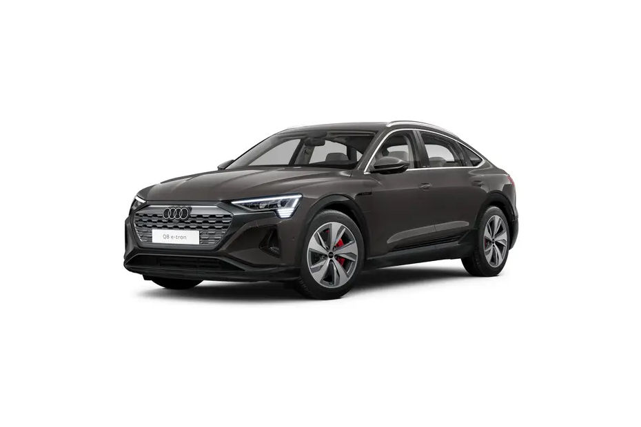 Audi Q8 Sportback e-tron Terra Gray Metallic colour