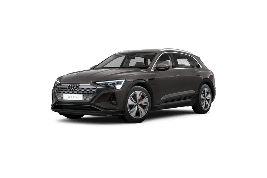 Audi Q8 e-tron Terra Gray Metallic colour